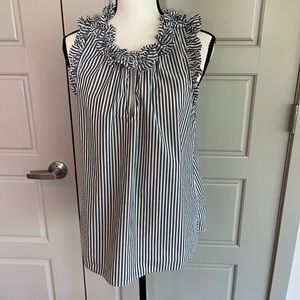J.Crew Blue Stripe Top